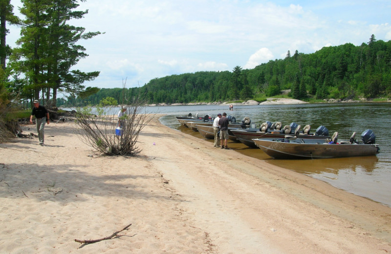 Beach at Maynard Lake Lodge and Outpost.