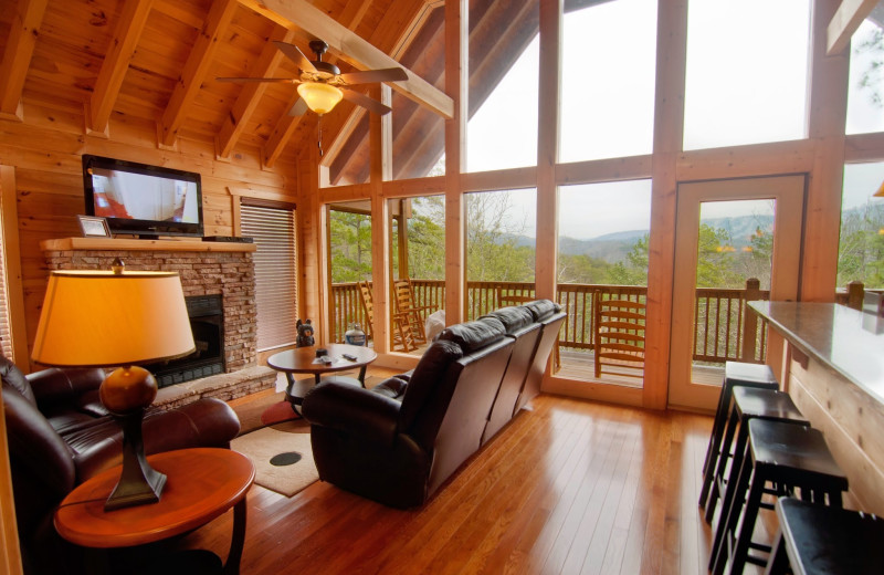 Cabin living room at Accommodations by Parkside Resort.