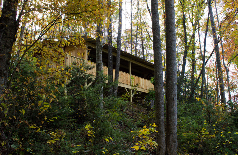 Exterior view of Cabins of Asheville.