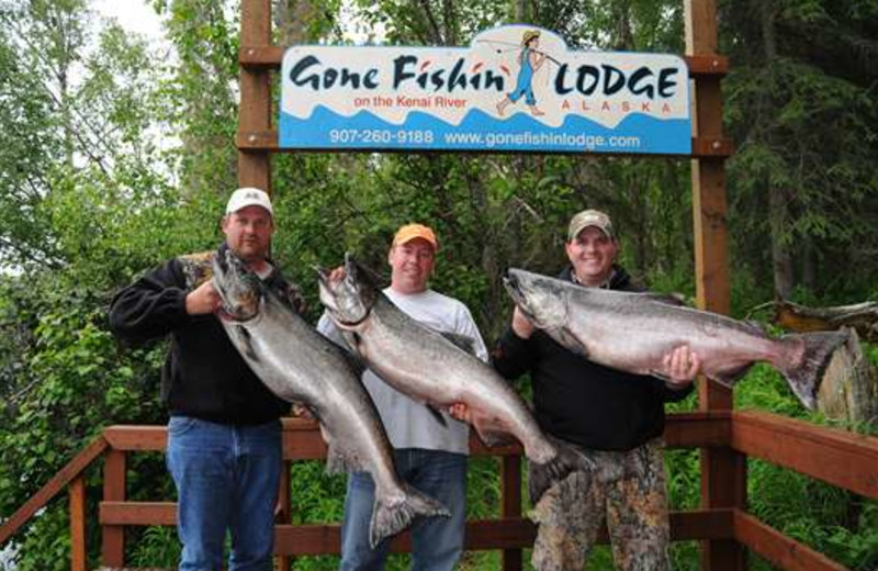 King salmon fishing at Gone Fishin' Lodge.