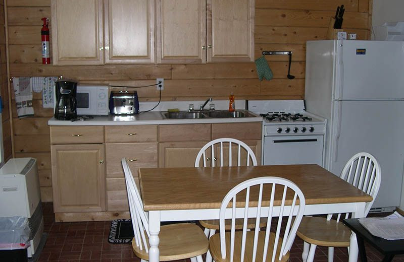 Cabin kitchen at Big Sky Charter & Fishcamp.