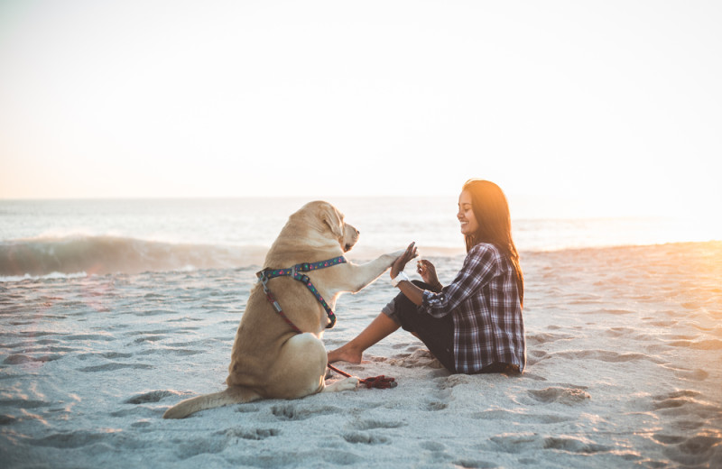 Pets welcome at Harborview Vacation Rentals.