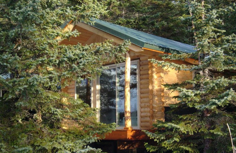 Cabin exterior at Kenai Fjords Glacier Lodge.