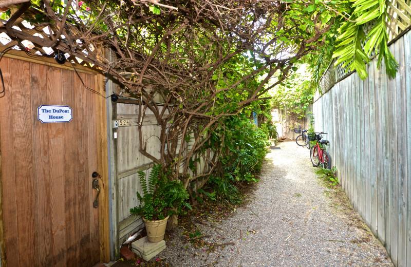 Rental yard at Key West Vacation Rentals.