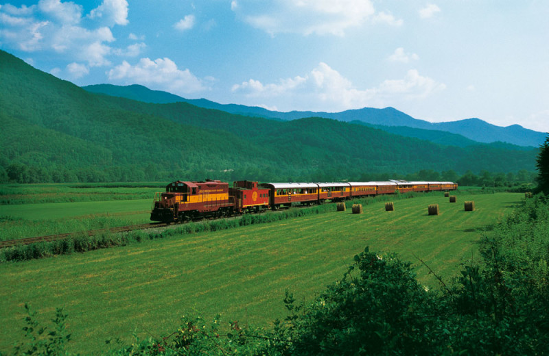 Scenic train rides near Great Smokys Cabin Rentals.