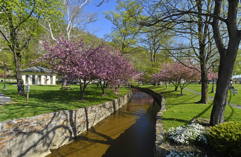 Park near Berkeley Springs Cottage Rentals.