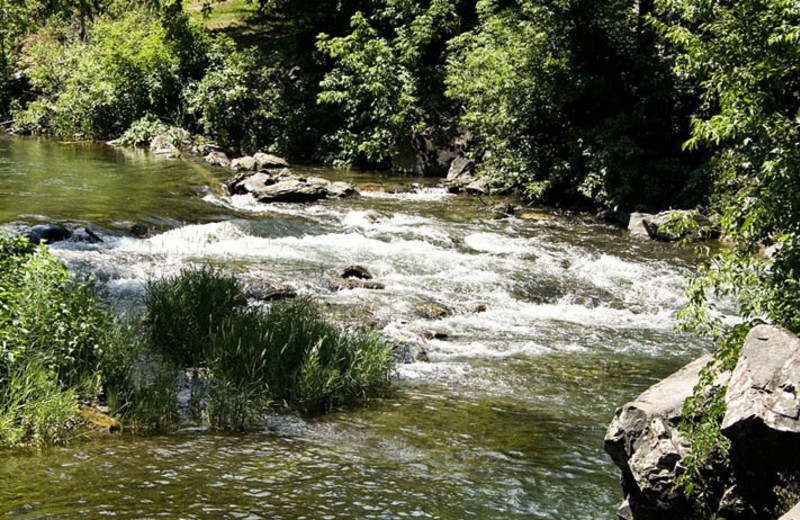 River view at Hisega Lodge.