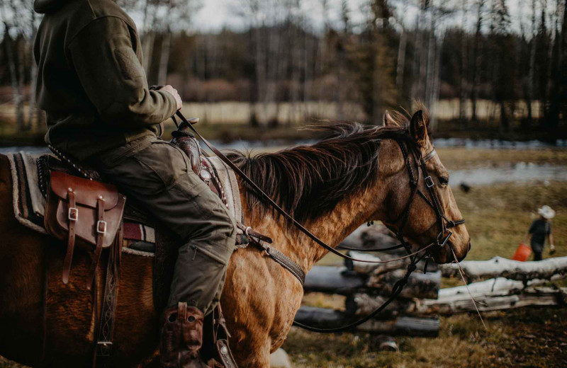 Horseback riding at Big Creek Lodge.