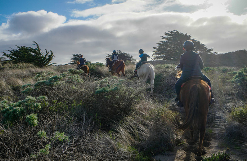 Horseback riding at Timber Cove Inn.