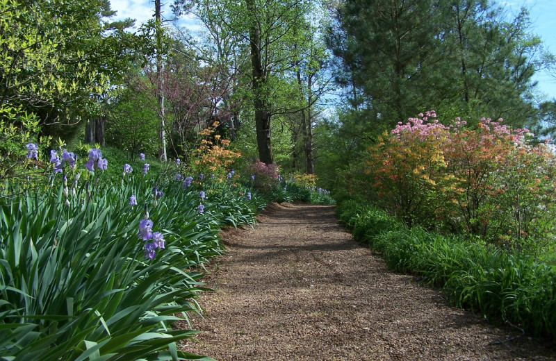 Walking Trails at Barnsley Gardens Resort 