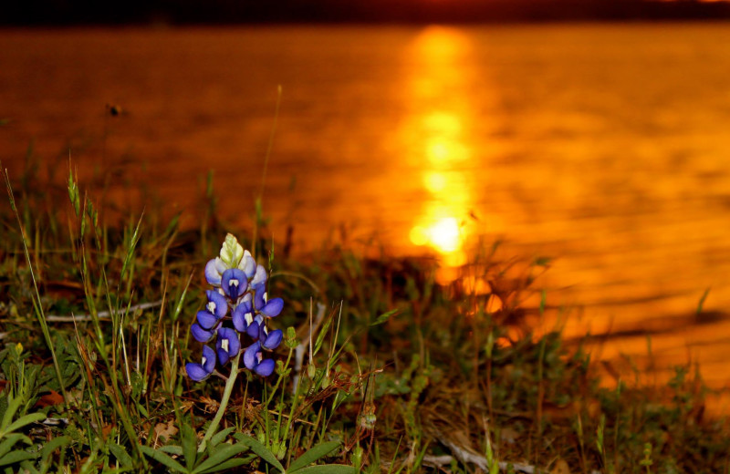 Sunset at Inks Lake State Park.