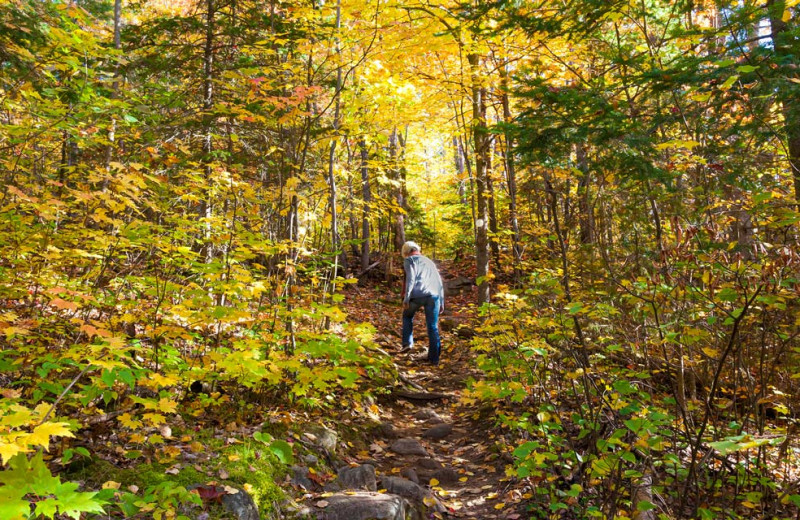 Fall hike at Killarney Lodge in Algonquin Park.