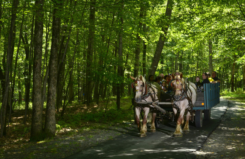 Hayrides at Woodloch Resort.