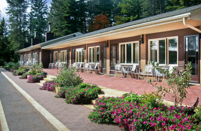 Exterior view of Studio Cabins at Blue Spruce Resort.