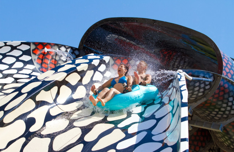 Water slide at Glamping Olimia Adria Village.