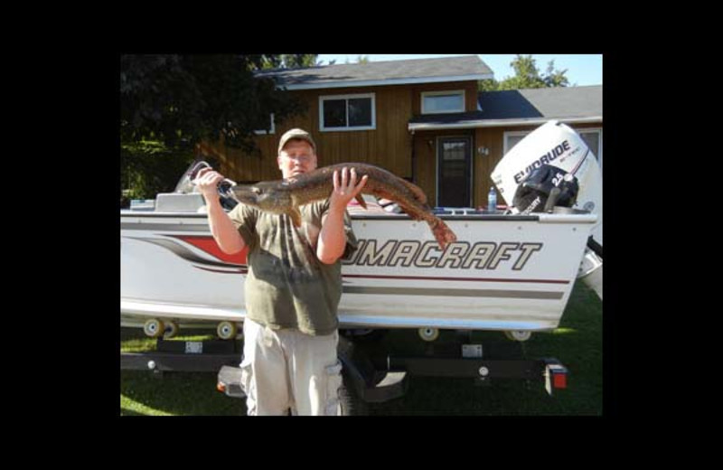 Fishing at Ward's Riverside Cabins.