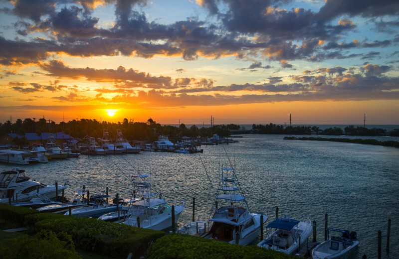 Marina at Hawks Cay Resort.