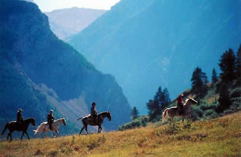 Horseback Riding at Nine Quarter Circle Ranch