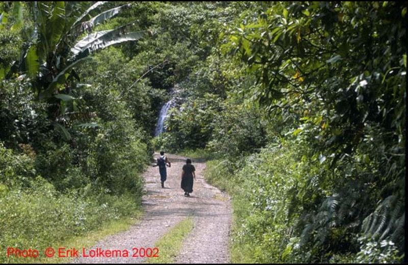 Hiking at Hacienda Primavera Wilderness Ecolodge.