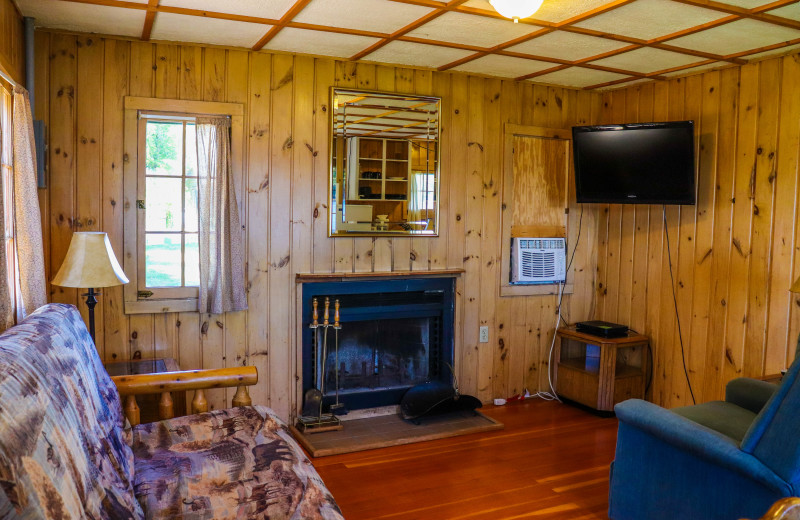 Cabin living room at Wilderness Resort Villas.