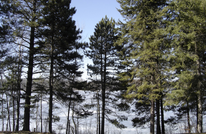 Lake view at Buckhorn on Caribou.