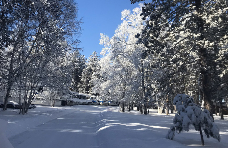 Winter at Timber Bay Lodge & Houseboats.