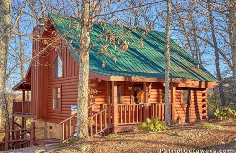 Pigeon Forge Vacation Rentals Cabin Elevation 1454 American