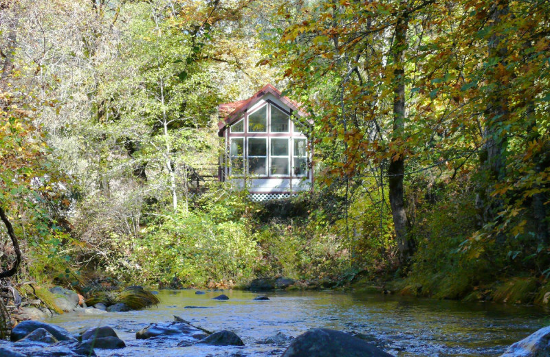 Cabin at Morrison's Rogue River Lodge.