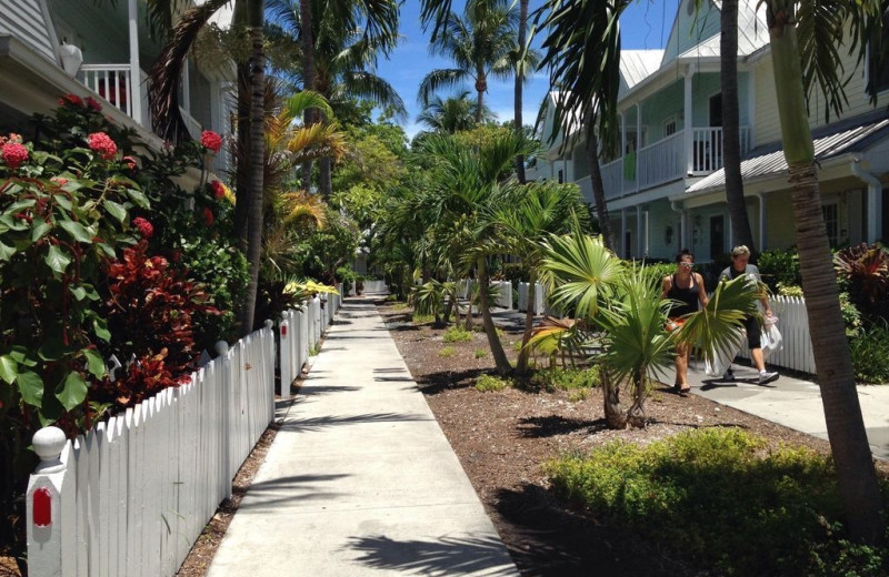 Rental exterior at 1800 Atlantic, All Florida Keys Property Management.