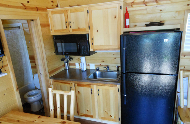 Cabin kitchen at Jellystone Park at Lake Monroe.