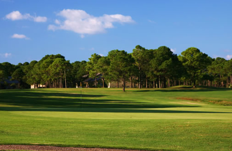 Golf green at Seascape Resort.