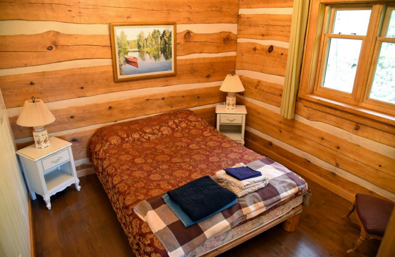 Cabin bedroom at Wolf Den Hostel and Nature Retreat.