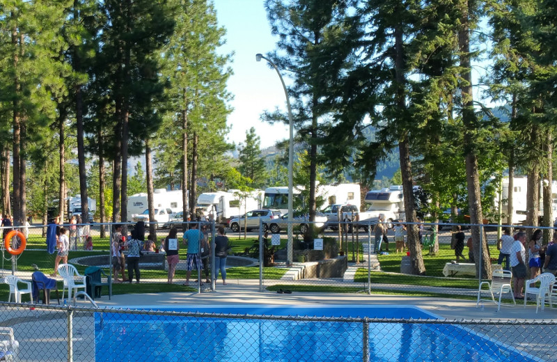 families enjoying the pool and the shade at powers creek retreat