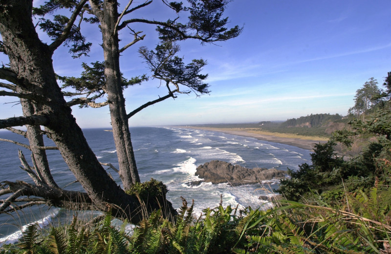 Beach at Oceanfront Getaways.