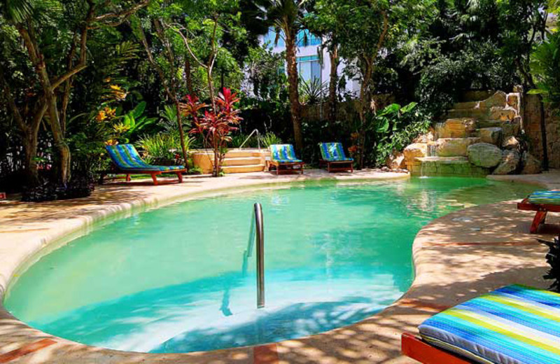 Outdoor pool at Riveria Maya Suites.