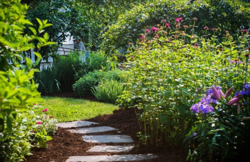 Garden at Four Columns Inn.