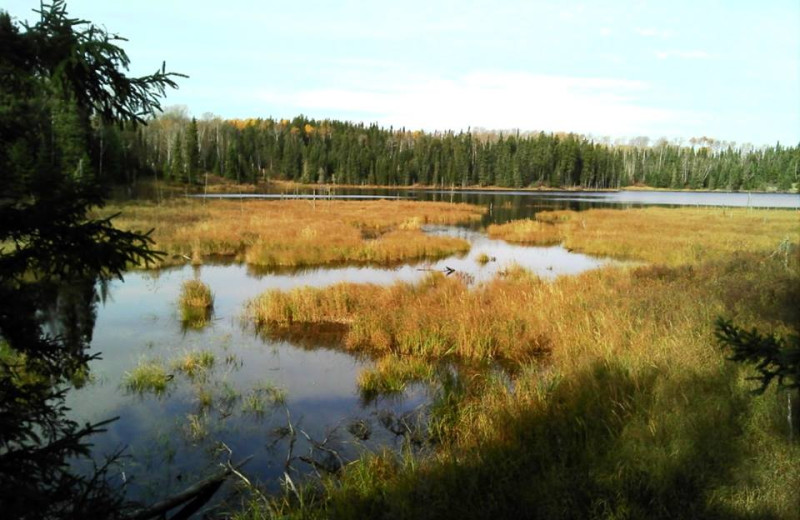 The Grounds at Woman River Camp