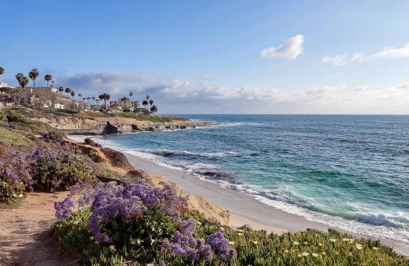 Beach at La Jolla Cove Suites.