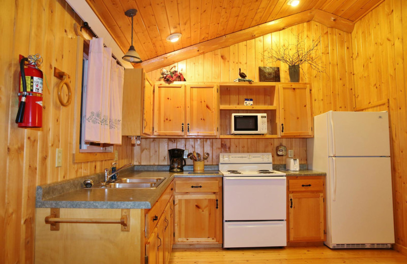 Cabin kitchen at Pine Terrace Resort.