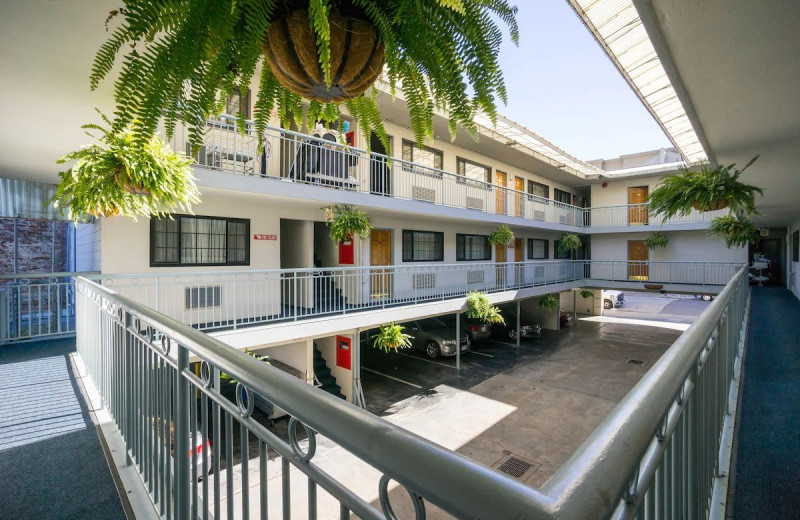 Courtyard at Nob Hill Motor Inn.