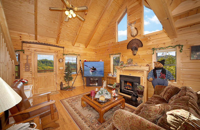 Living room of vacation home at American Patriot Getaways, LLC.