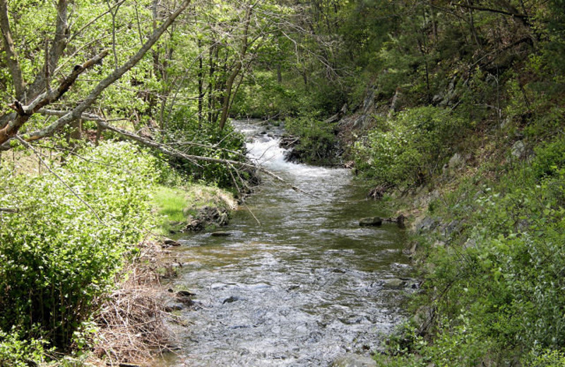 Area Surrounding Brookside Cabins