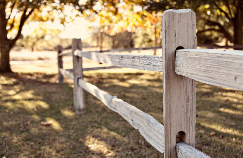 Farm fence at Settlers Crossing.