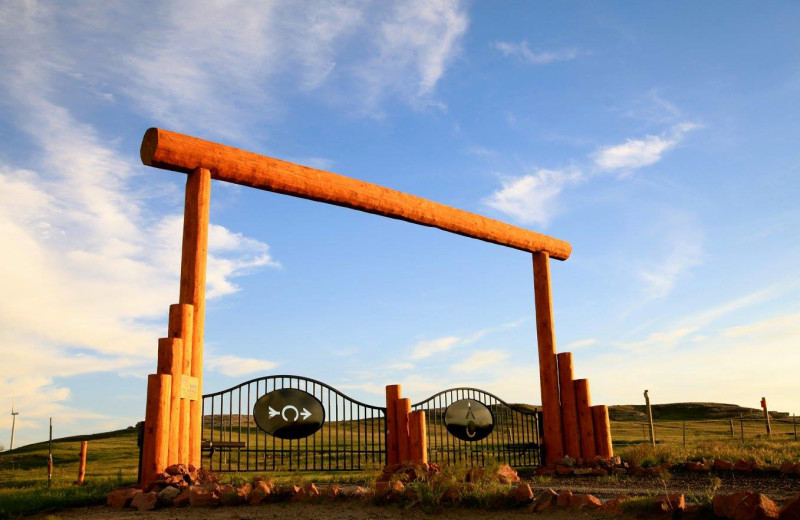 Welcome to Colorado Cattle Company Ranch.