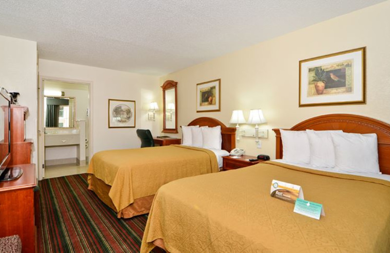 Guest Room at Quality Inn and Suites Biltmore East