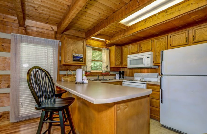 Cabin kitchen at TNT Cabin Rentals.