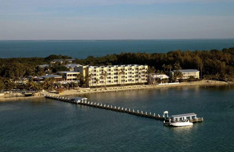 Cheeca lodge webcam