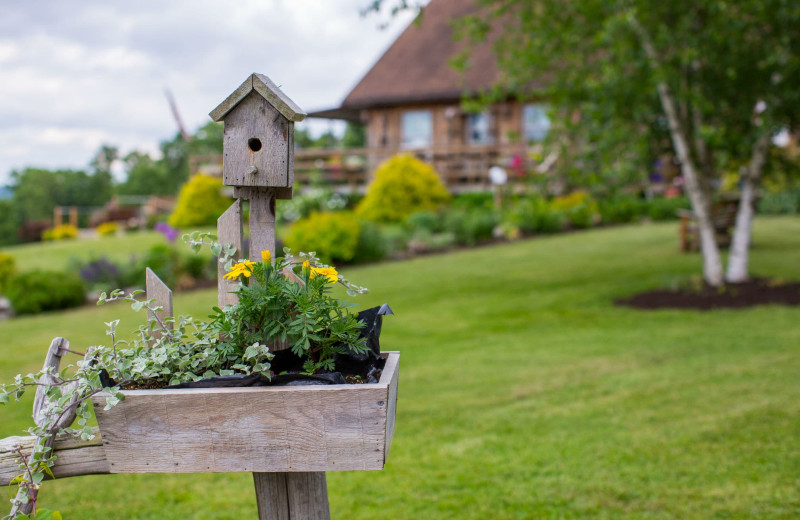 Garden at Buttonwood Grove Winery