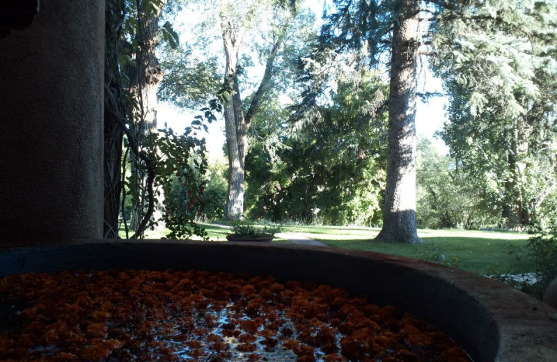 View from Inn on La Loma Plaza.