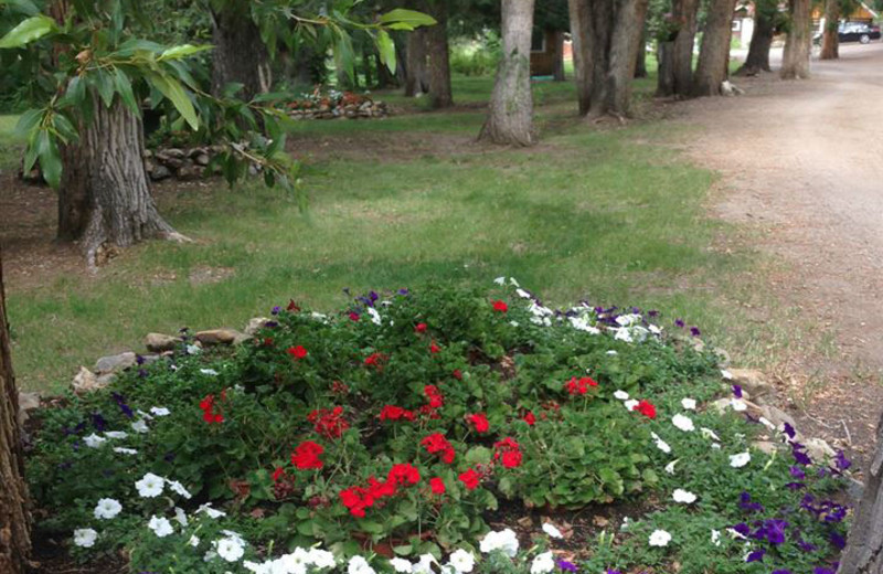Garden at River Orchard Place.